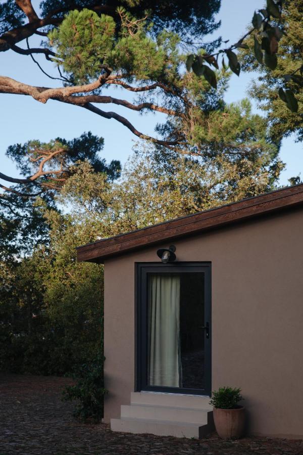 A Padaria Farmhouse Cinfães Extérieur photo